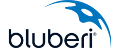 bluberi bluberi